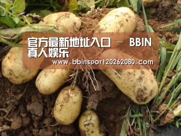 种植基地六