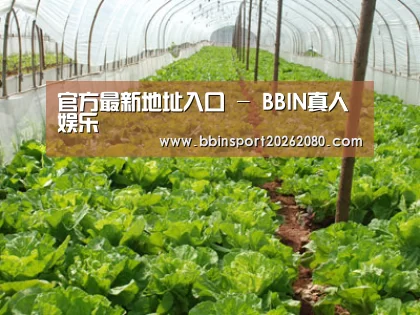 种植基地五