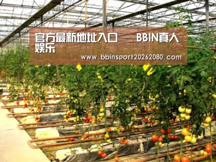 种植基地二