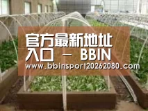 环境展示五