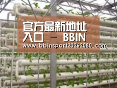 环境展示六
