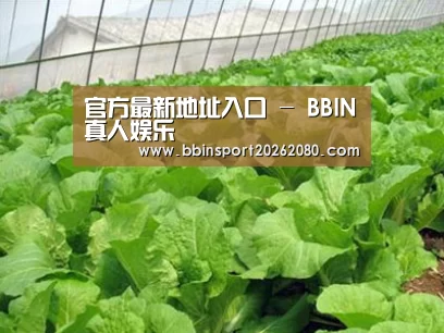 种植基地一