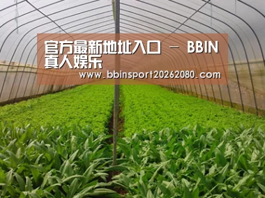 种植基地四