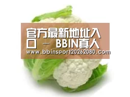 产品名称九