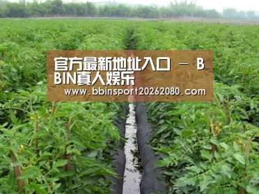 种植基地三