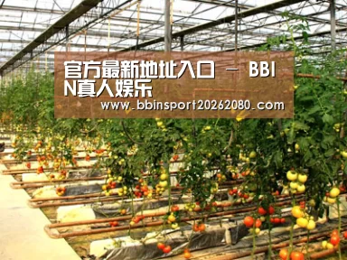 种植基地二(图1)