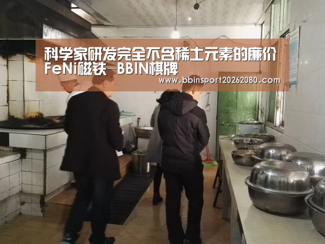 科学家研发完全不含稀土元素的廉价FeNi磁铁-BBIN棋牌(图2) BBIN赛事