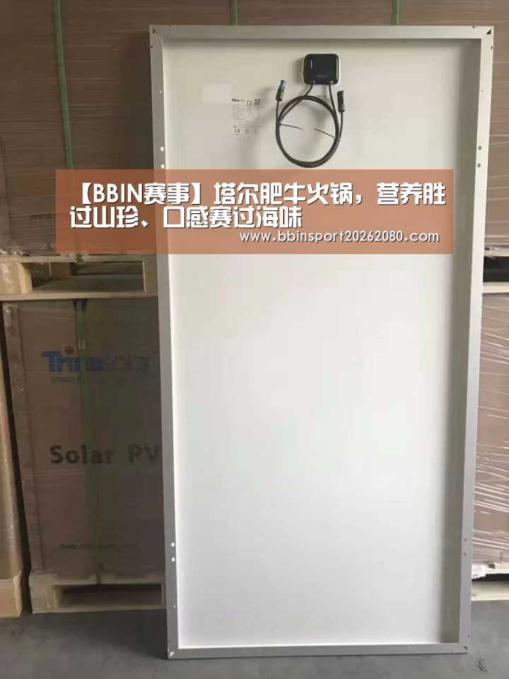BBIN赛事