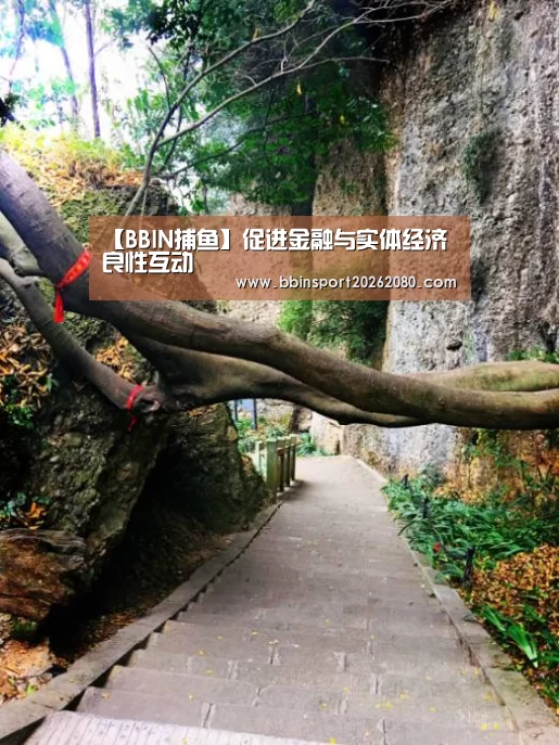 BBIN下载