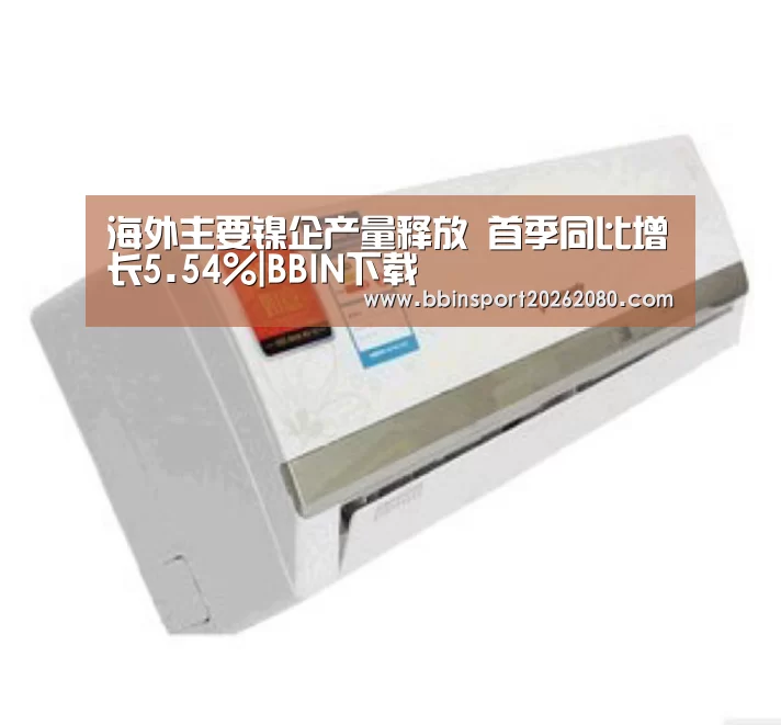 BBIN下载