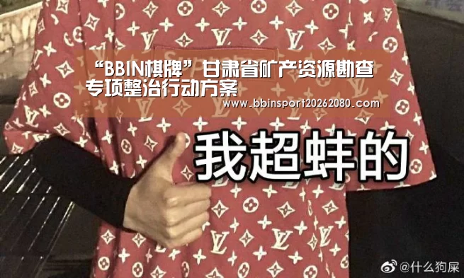 BBIN下载