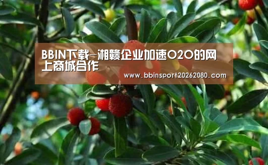 BBIN棋牌
