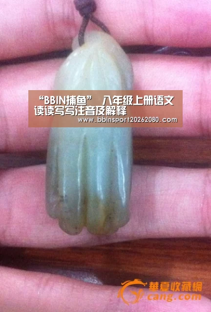 “BBIN捕鱼”
八年级上册语文读读写写注音及解释(图2) BBIN赛事