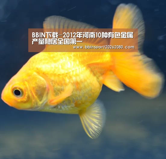 BBIN下载-2012年河南10种有色金属产量稳居全国第一(图4) BBIN捕鱼