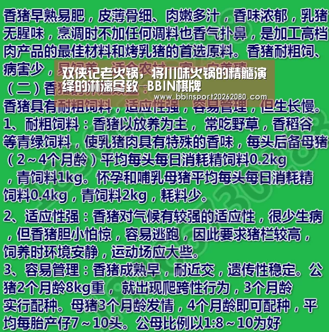 BBIN赛事