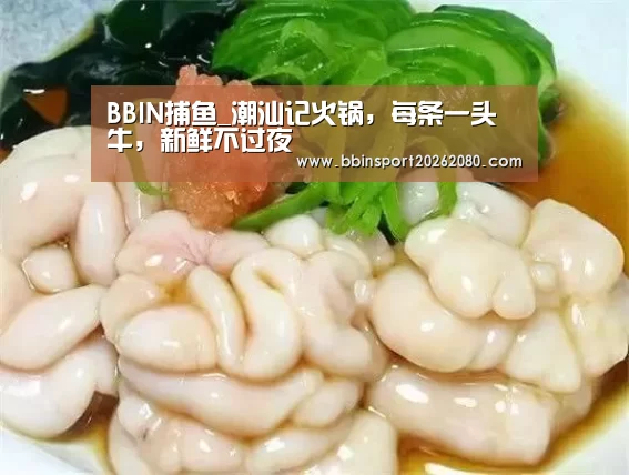 BBIN捕鱼_潮汕记火锅,每条一头牛,新鲜不过夜(图1) BBIN捕鱼