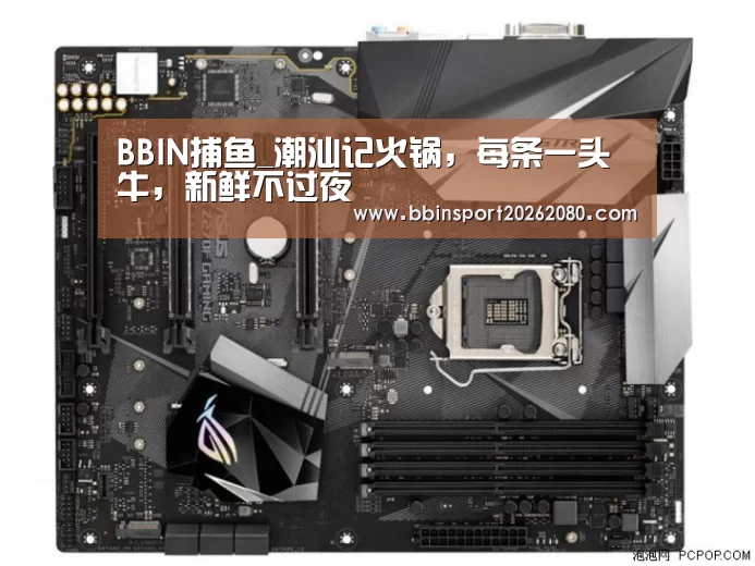 BBIN捕鱼_潮汕记火锅,每条一头牛,新鲜不过夜(图2) BBIN捕鱼