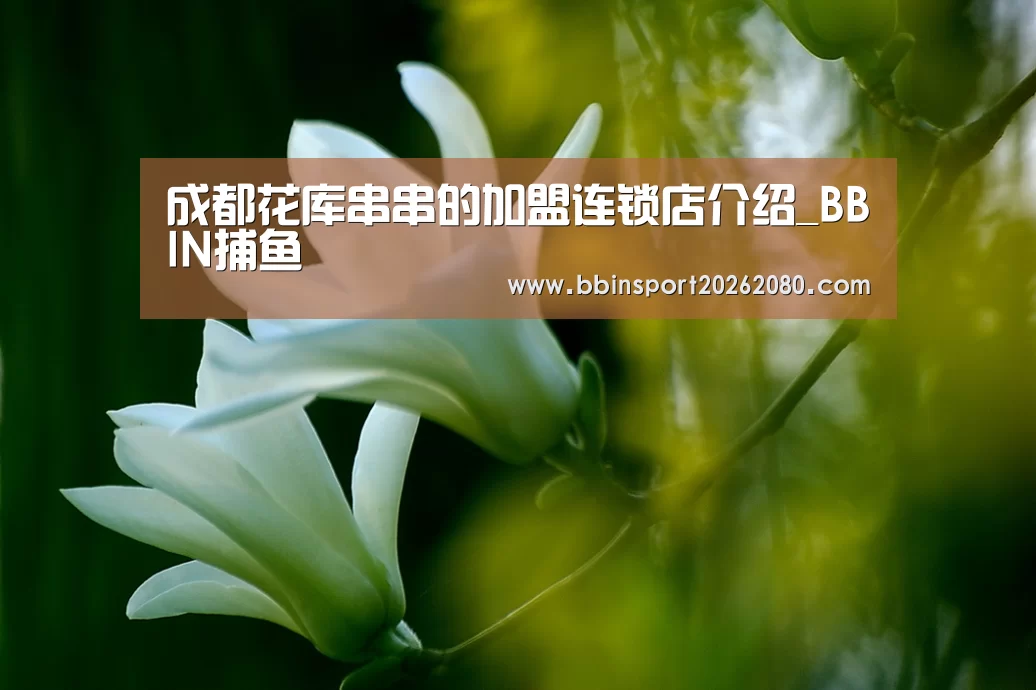BBIN下载